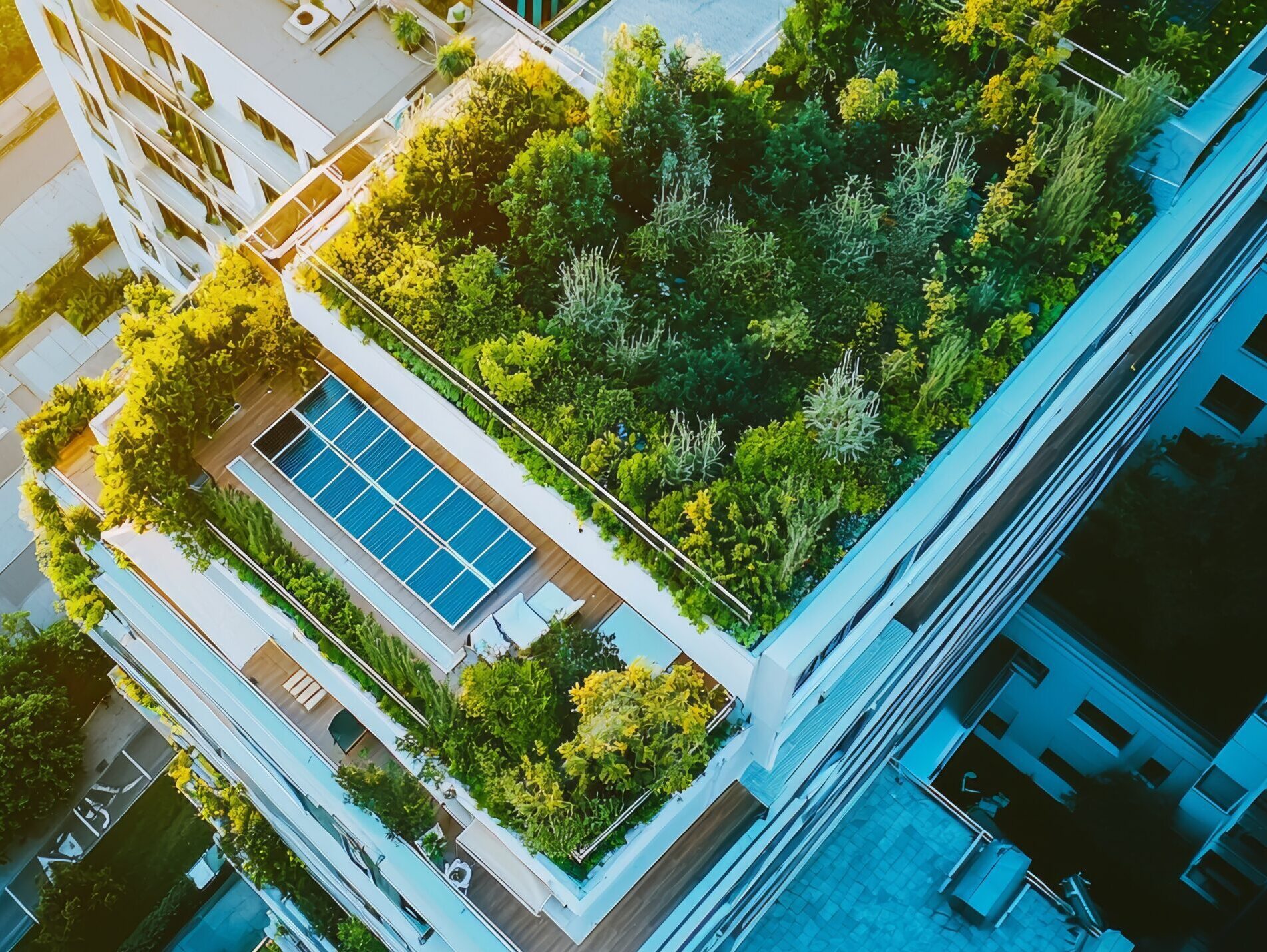 Net Zero Energy Building Code Deadline: Board of Trade Supports D.C. Mayor’s One-Year Extension